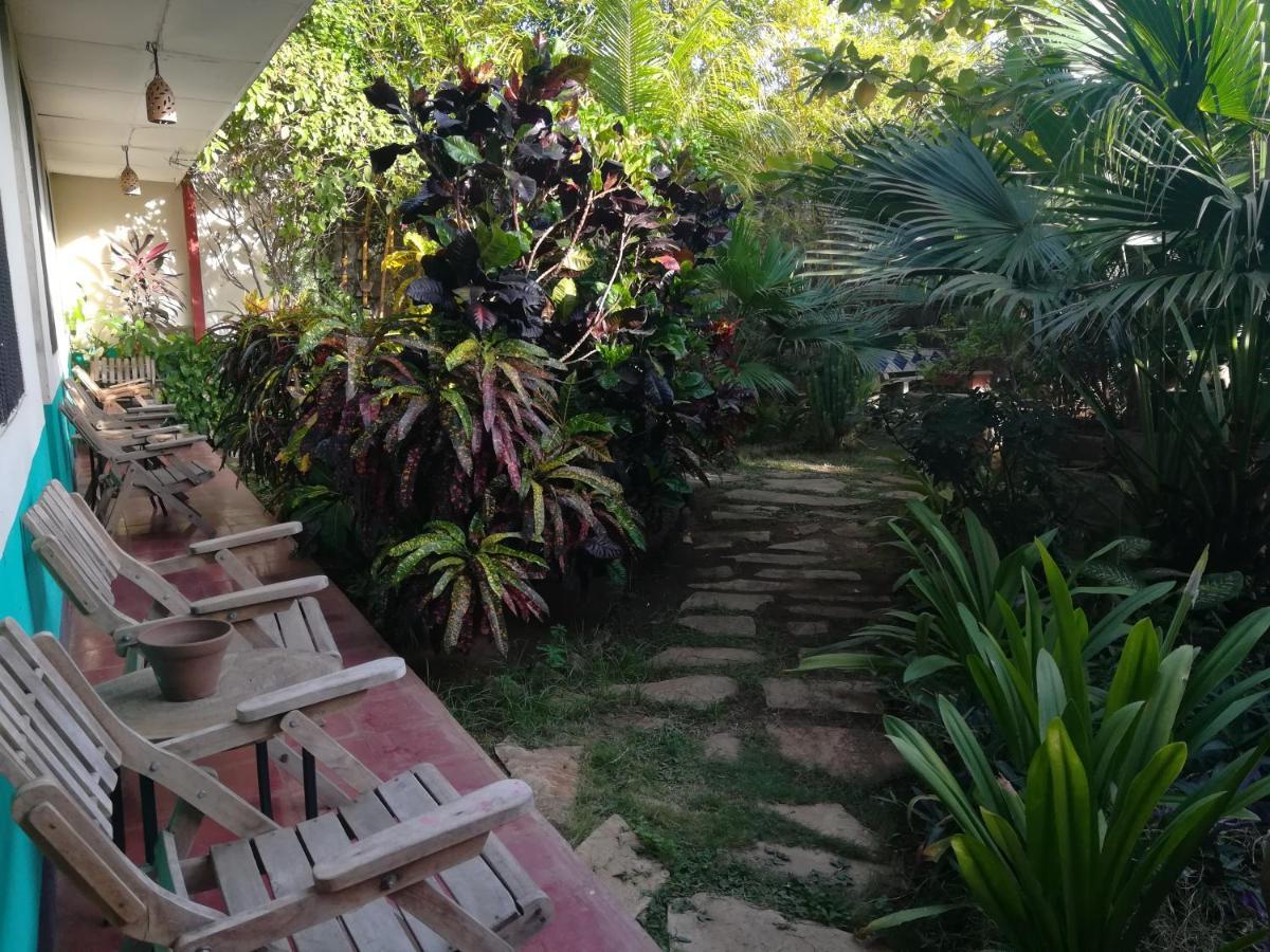 Hostal Harvest House León 外观 照片