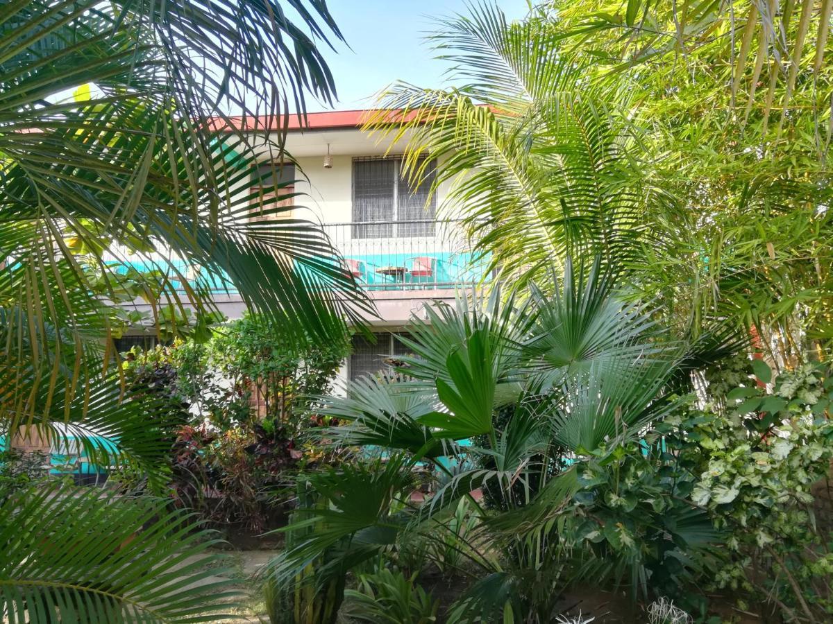 Hostal Harvest House León 外观 照片