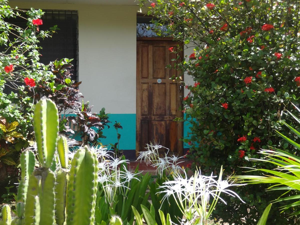 Hostal Harvest House León 外观 照片