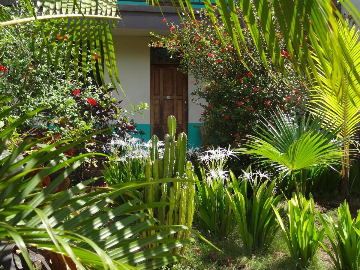 Hostal Harvest House León 外观 照片